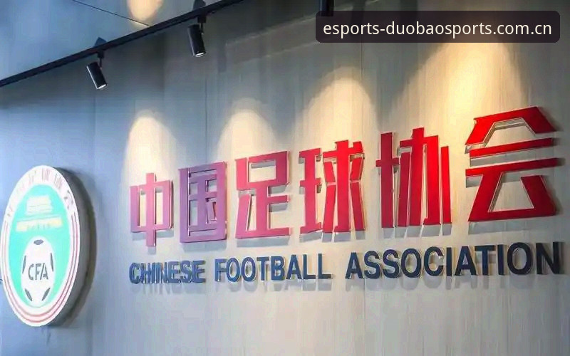 揭秘足坛清洗风暴背后：17人被终身禁足，48人遭重罚，中国足球反腐进入新阶段